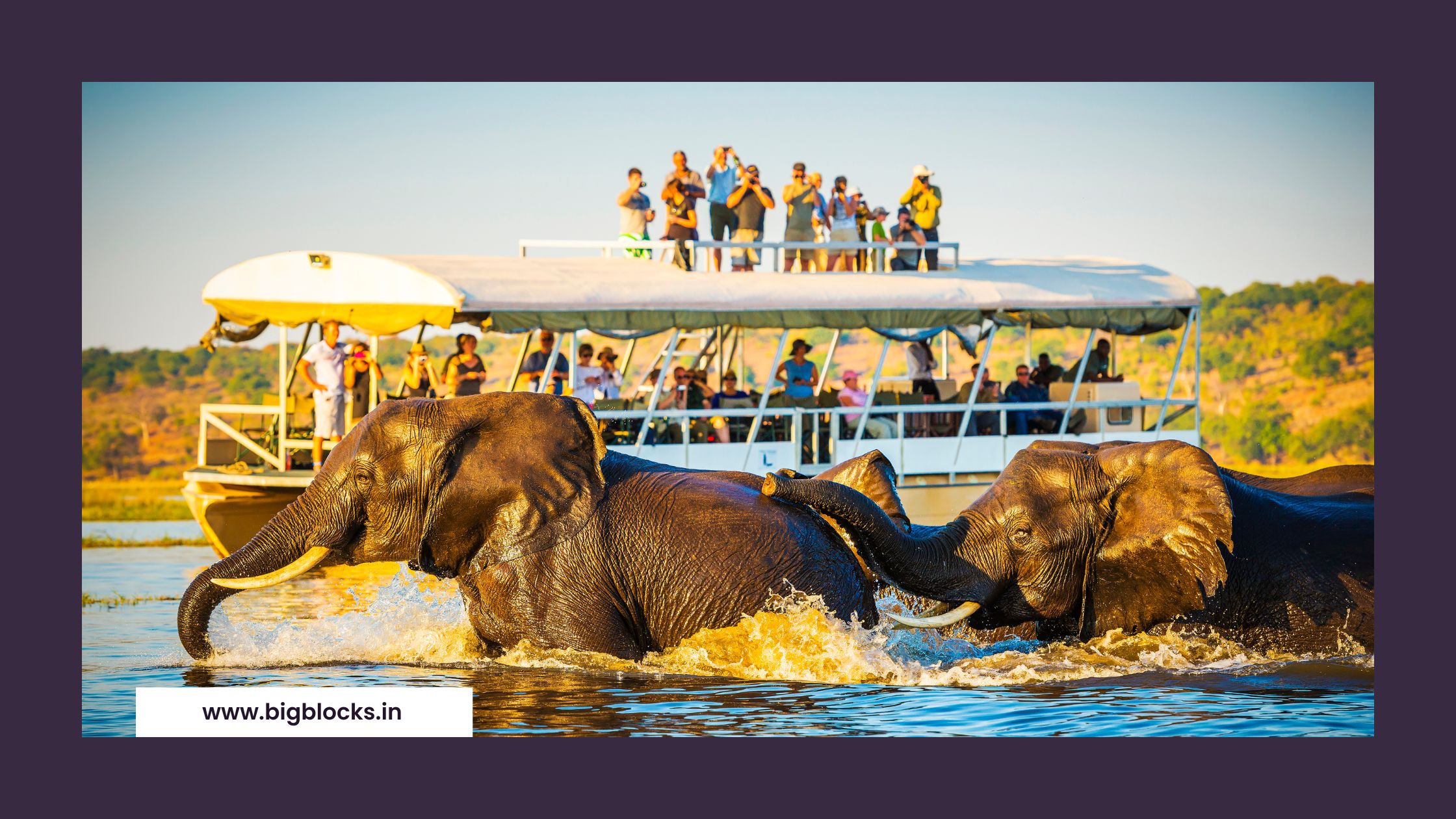 Rajaji National Park: A Biodiversity Hotspot Igniting Economic Growth and Tourism Adventure Tourism