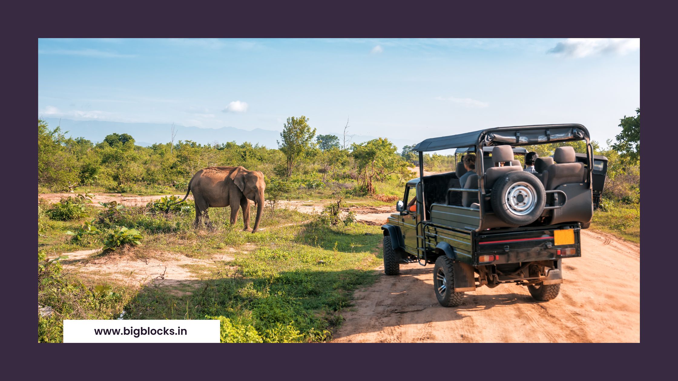 Rajaji National Park: A Biodiversity Hotspot Igniting Economic Growth and Tourism Ecotourism Initiatives