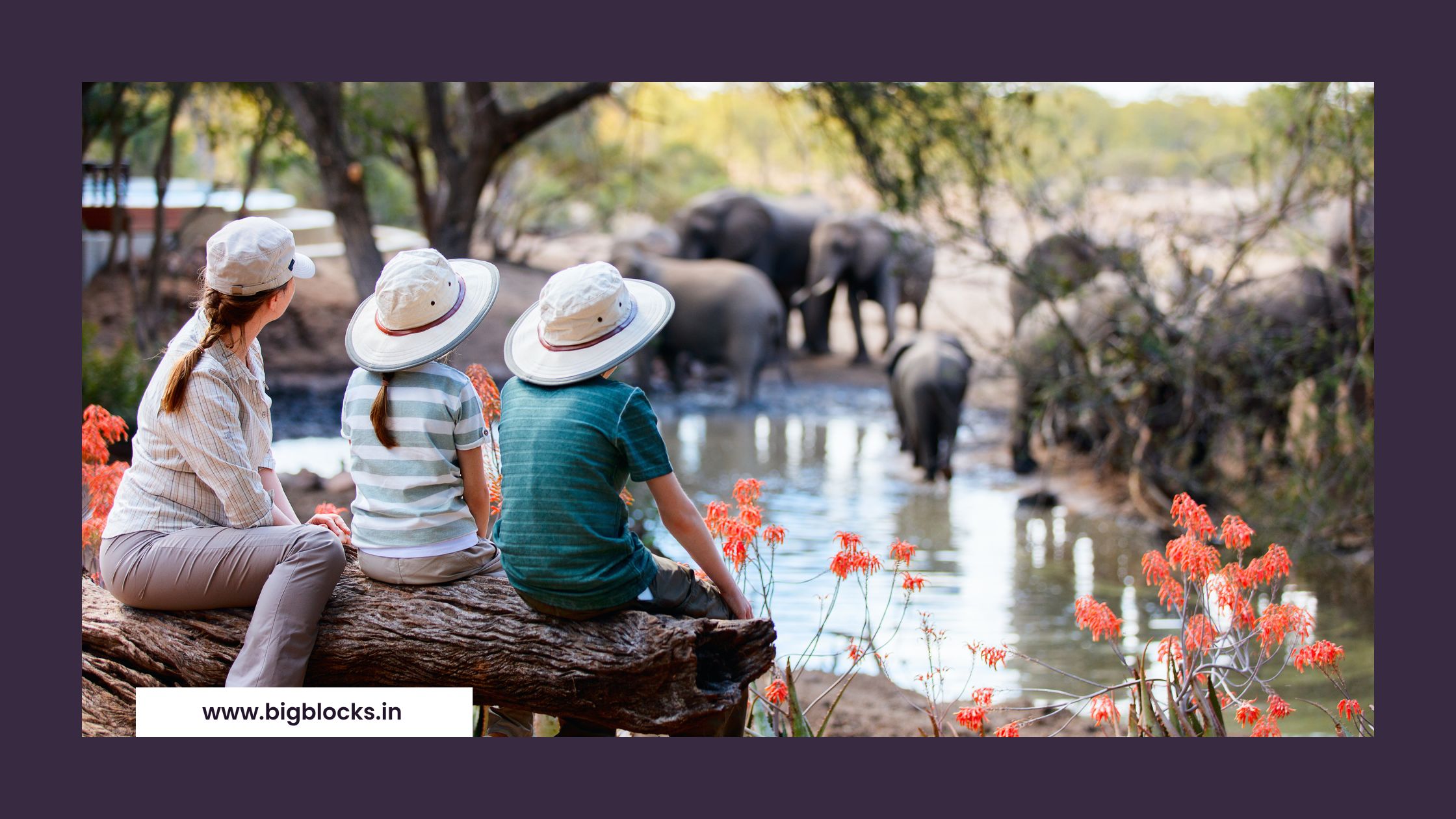 Rajaji National Park: A Biodiversity Hotspot Igniting Economic Growth and Tourism Educational and Research Opportunities