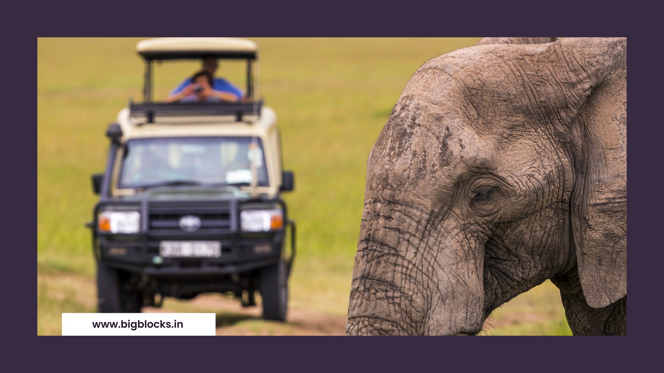 Rajaji National Park: A Biodiversity Hotspot Igniting Economic Growth and Tourism Wildlife Safaris