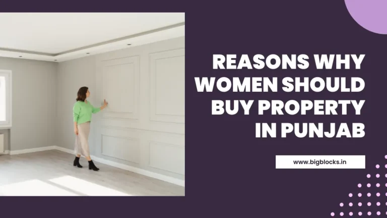 Reasons Why Women Should Buy Property in Punjab